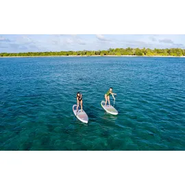 Fanatic Fly Air SLT 295 x 76 x 15 cm grau/grün