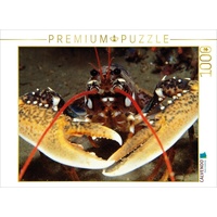 Calvendo Europäischer Hummer Puzzle