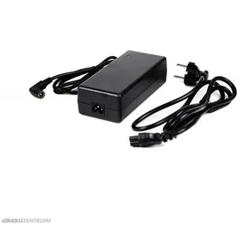 Phylion Akku Ladegerät 42,0V 2,0A SMART Cinch abgewinkelt