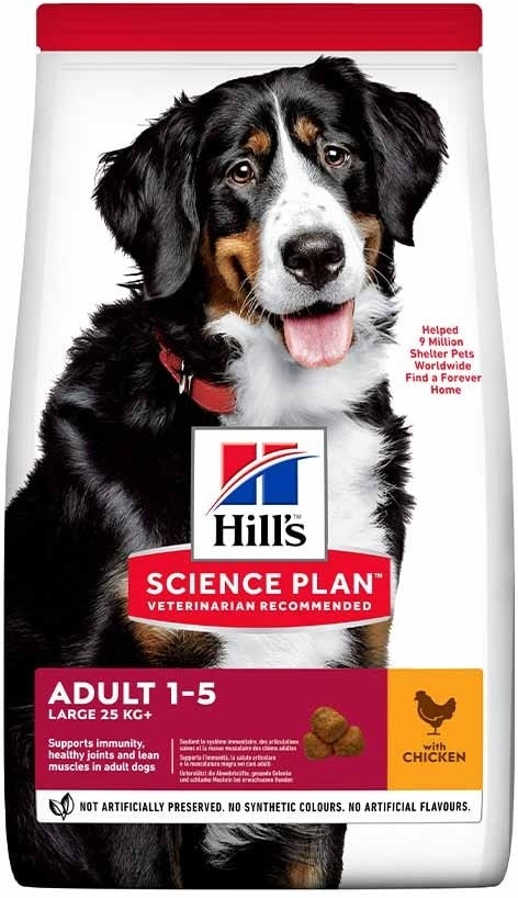 hills adult large breed