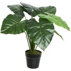 Taro Pflanze im Topf - Kunstpflanze - H: 52cm - grün