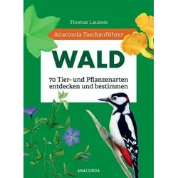 Wald - 70 Tier- und Pflanzenarten entdecken und bestimmen