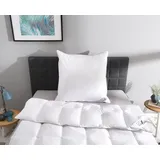 OBB Daunenbettdecke OBB "Edition 125 Jahre, Bettdecken für Sommer und Winter, Ganzjahresdecke", weiß, B:155cm L:220cm, Bezug: 100% Baumwolle. Füllung: 90% Daunen, 10% Federn, Bettdecken, Bettdecke 135x200 cm, 155x220 cm & weitere Größen, Made in Germany