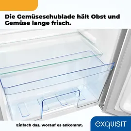 Exquisit KS85-V-091E Kühlschrank (75 l, 843 mm hoch, Grau)