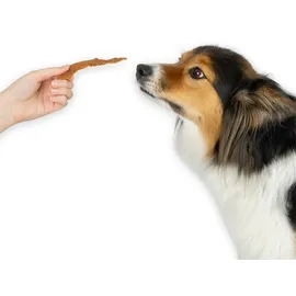 Trixie Chicken Filets 300 g