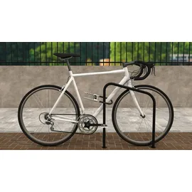 BASI Bügelschloss - Fingerprint - ZR 307