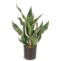 Sansevieria Bogenhanf Kunstpflanze, Höhe 55 cm
