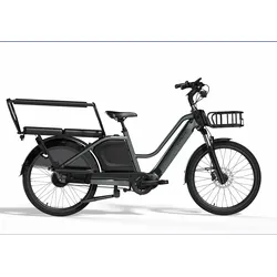 Tenways Longtail Duo 720 Wh grau 2025 - 24" - 47 cm