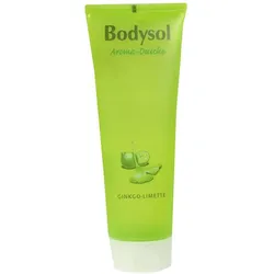 Bodysol Aroma Duschgel Ginkgo Limette 250 ml