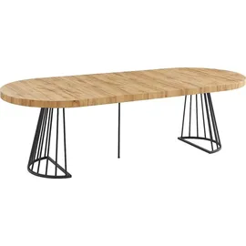 vente-unique Esstisch, Schwarz, Holz, Oval, 110x76x260 cm, Esszimmer, Tische, Esstische