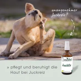 cdVet Juck-Ex Forte 20 ml