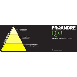 Proandre S.L Proandre 500ml Raumspray Citrus Fusion Eco Fragrance