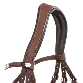 Kavalkade Everness schwarz Pony