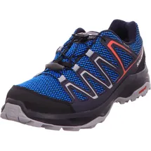 Adidas Custer Gore-Tex Herren indigo bunting/night sky/fiery red 43 1/3