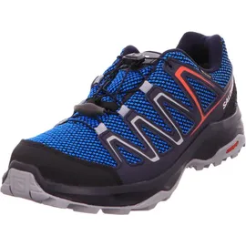 Adidas Custer Gore-Tex Herren indigo bunting/night sky/fiery red 43 1/3