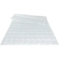 Traumina Exclusive Body Daune Einziehdecke WK 1 (Größe: 200x200 cm*)