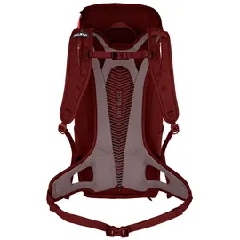 Salewa Alp Mate 30 Rucksack rot