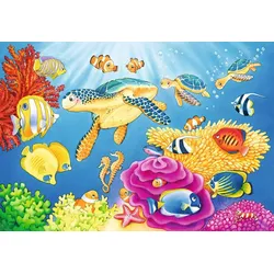 Kunterbunte Unterwasserwelt