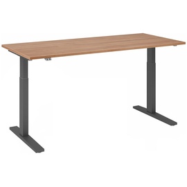 Hammerbacher XMKA19 elektrisch höhenverstellbarer Schreibtisch nussbaum rechteckig, C-Fuß-Gestell grau 180,0 x 80,0 cm