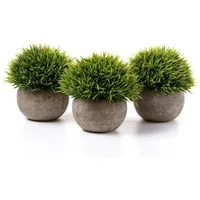luxuskollektion Kunstpflanze Graspflanzen Sukkulenten Grün Topf Gras Grün 3er set