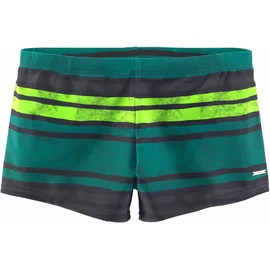 Chiemsee Boxer-Badehose CHIEMSEE, Herren, Gr. 6, N-Gr, grau (grau, grün), Polyamid, gestreift, quergestreift, Badehosen, im Streifendesign