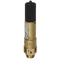 Riegler Hochleistungs-Sicherheitsventil, MS, G 1, Ansprechdruck 0,8 bar