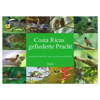 Calvendo Costa Ricas gefiederte Pracht (Wandkalender 2026 DIN A3