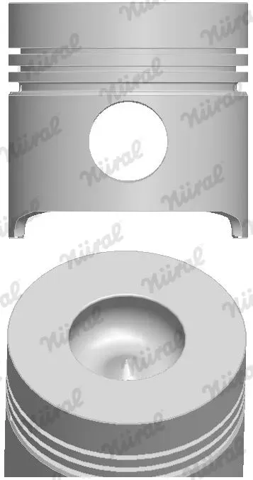 NÜRAL 8778200000 für Ford Iveco