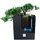 Prosperplast Rato Low 26,2 x 26,2 x 26,6 cm anthrazit