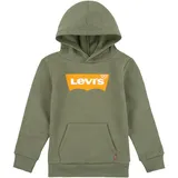 Levi's Kids hoodie in Khaki - 110