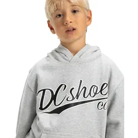 DC Shoes Substitute Grey 146