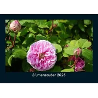 Vero Kalender Blumenzauber 2025 Fotokalender DIN A5