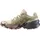 Salomon  Speedcross 6 Gore-Tex Damen Eucalyptus/Shadow Gray 42 2/3