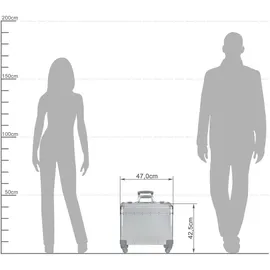 ALUMAXX Pandora 4-Rollen Cabin 35 cm / 36 l silber matt