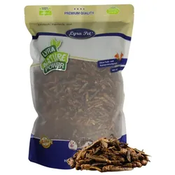 1 kg Lyra Pet® Heuschrecken getrocknet