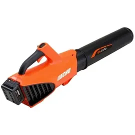 Echo DPB-310 Akku Blasgerät 40V Garden+