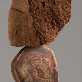 Wella Color Fresh Mask chocolate touch 150 ml