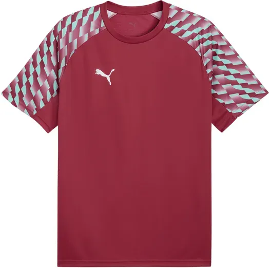 PUMA teamLIGA26 Trikot Rot F81