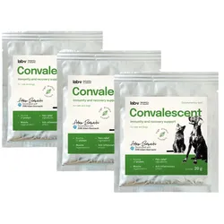 Lab-v Convalescent – Regeneration und Unterstützung des Immunsystems für Hunde und Katzen 3x20 g