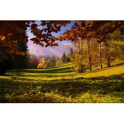 Fototapete PAPERMOON "Boot im See", bunt, B:3,50m L:2,60m, Vlies, Tapeten