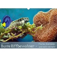 Calvendo Bunte Riffbewohner - Fische, Anemonen und noch viel