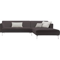 hülsta sofa Ecksofa hs.446, in minimalistischer, schwereloser Optik, Breite 296 cm braun|grau
