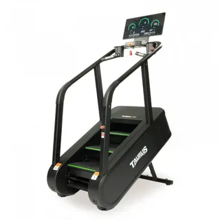 Taurus Stair Trainer ST9.9 Treppensteiger