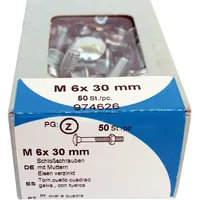 HSI PROFESSIONAL Schloßschraube mit Mutter M6 x 30 mm 50 Stück