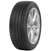 Davanti Wintoura+ 205/50 R17 93V