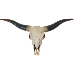 Mendler Deko Schädel 75cm HWC-A14, Polyresin Stier Bulle Longhorn Kopf Trophäe, In-/Outdoor natur