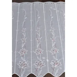 Stickereien Plauen Scheibengardine STICKEREIEN PLAUEN "Kiara" Gr. 5, rot (bordeaux), B:210cm H:95cm, Voile, Polyester, Gardinen
