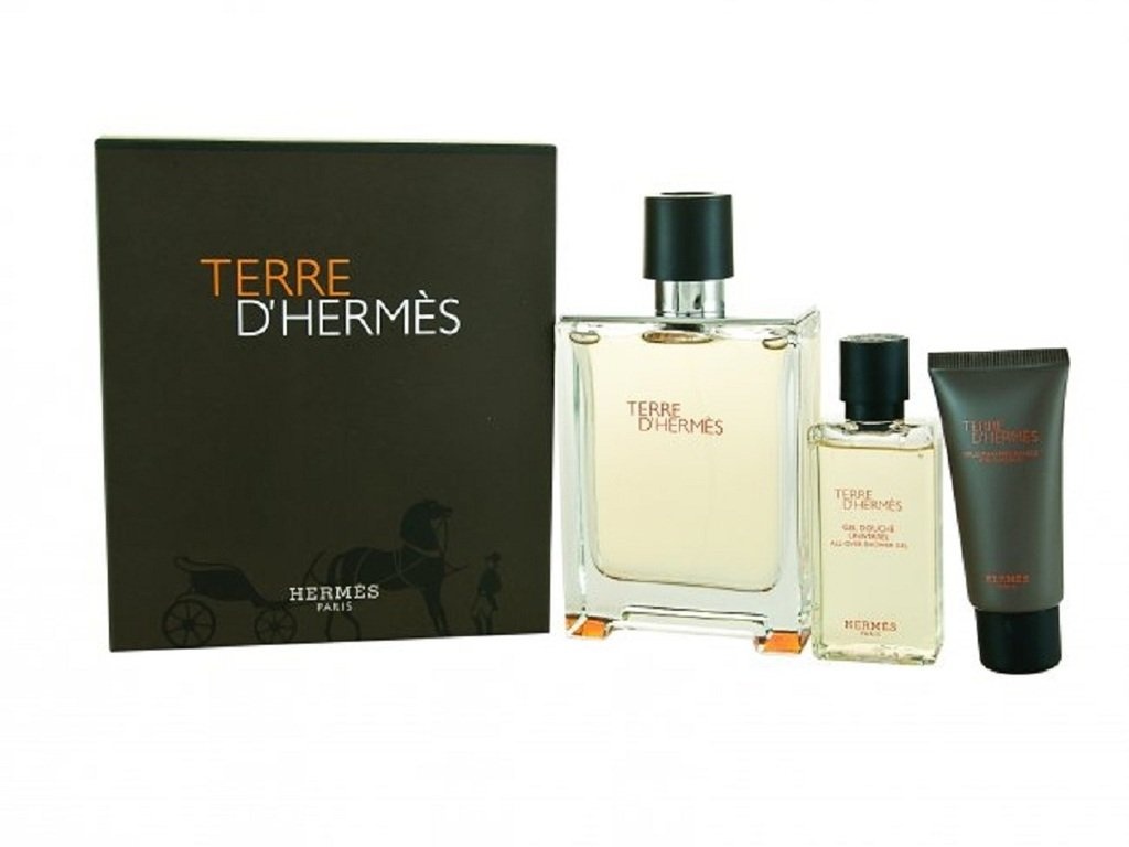 Hermes Terre D'Hermes Geschenkset 100 ml Eau de Toilette + 12,5ml Eau de Toilette + 40ml After shave Lotion