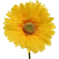Decoris Gerbera Variante: gelb