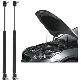 Omac 2x Motorhaubendämpfer Gasfeder Dämpfer kompatibel mit Mercedes M Klasse W164 2005-11 Stahl